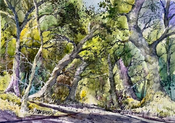 Apoorva Vaidya / Dandeli / Size 13 x 19 inches / Watercolour on paper