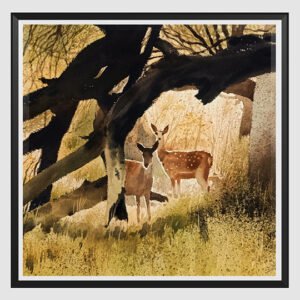 Vikas V. Patnekar / Warmth / Size 22 x 15 inches / Watercolour on D’Arches Paper