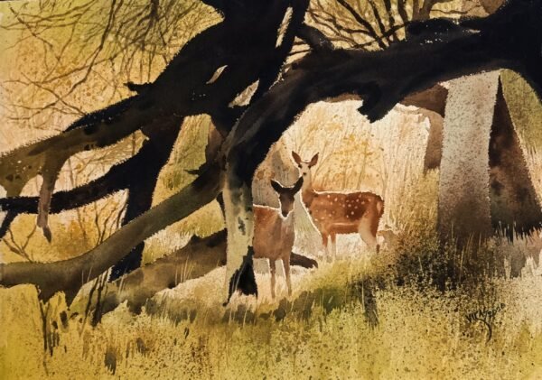 Vikas V. Patnekar / Warmth / Size 22 x 15 inches / Watercolour on D’Arches Paper